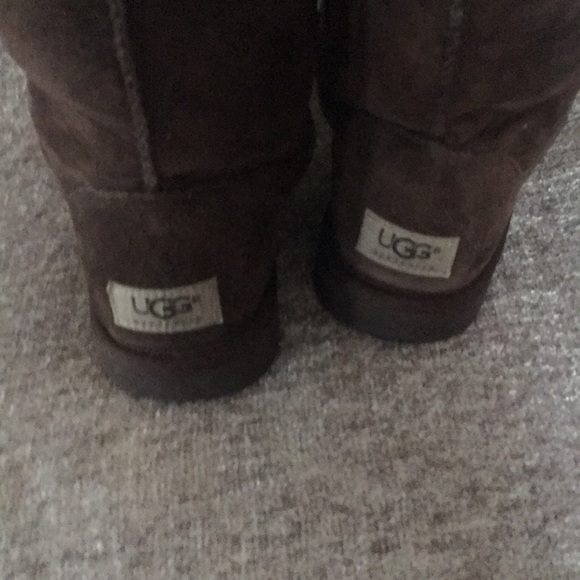 Chestnut uggs - Picture 2 of 4